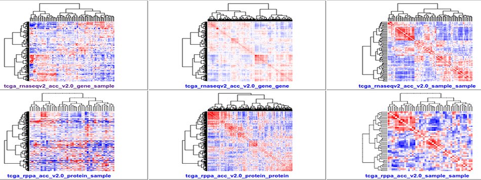 Our TCGA Compendium includes 300 NG-CHMs for exploring TCGA molecular profiling data