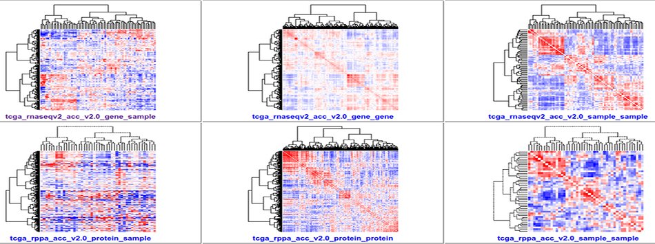 Our TCGA Compendium includes 300 NG-CHMs for exploring TCGA molecular profiling data